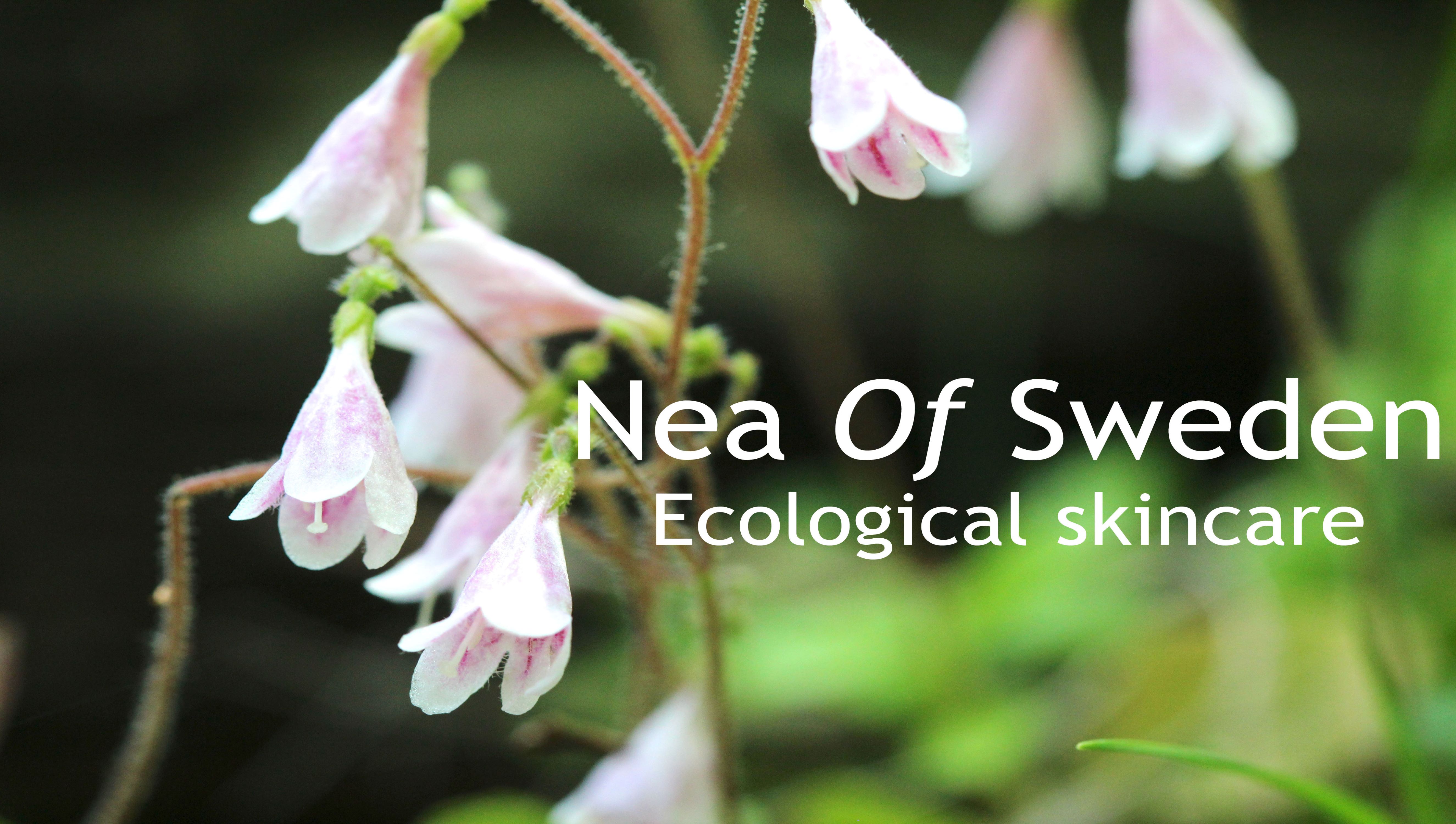 Nea Of Sweden
