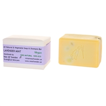 Soap-Shampoo-Lavender_mint 2103_med-7350092650670