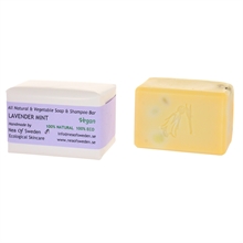 Soap-Shampoo-Lavender_mint 2103_med-7350092650670